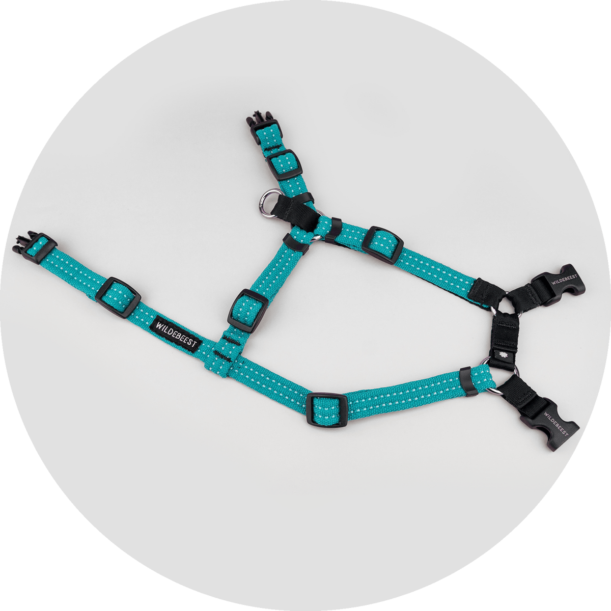 Valencia No-Pull Dog Harness