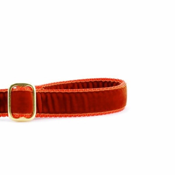 Rust Velvet Dog Leash