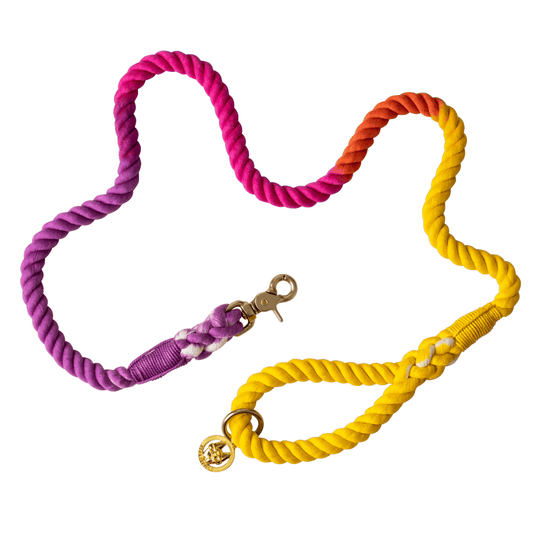 Roxy Rope Dog Leash, shown in 4 ft and 6 ft lengths, Pink Papyrus Co., sold through Sniff and Shift