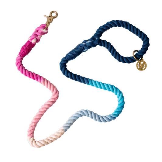 Maddox Rope Dog Leash, comfortable grip, 4 and 6 feet, Pink Papyrus Co., sold through Sniff and Shift