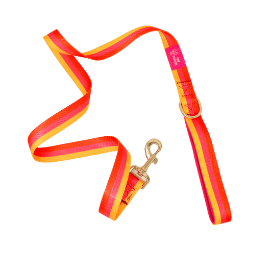 Zara Dog Leash with a padded grip and D-ring, Pink Papyrus Co., sold through Sniff and Shift