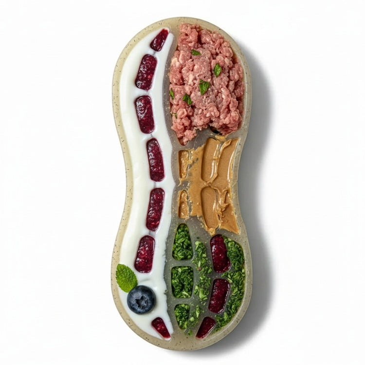 Peanut shaped nylon chew toy for dogs, SodaPup, sold through Sniff and Shift