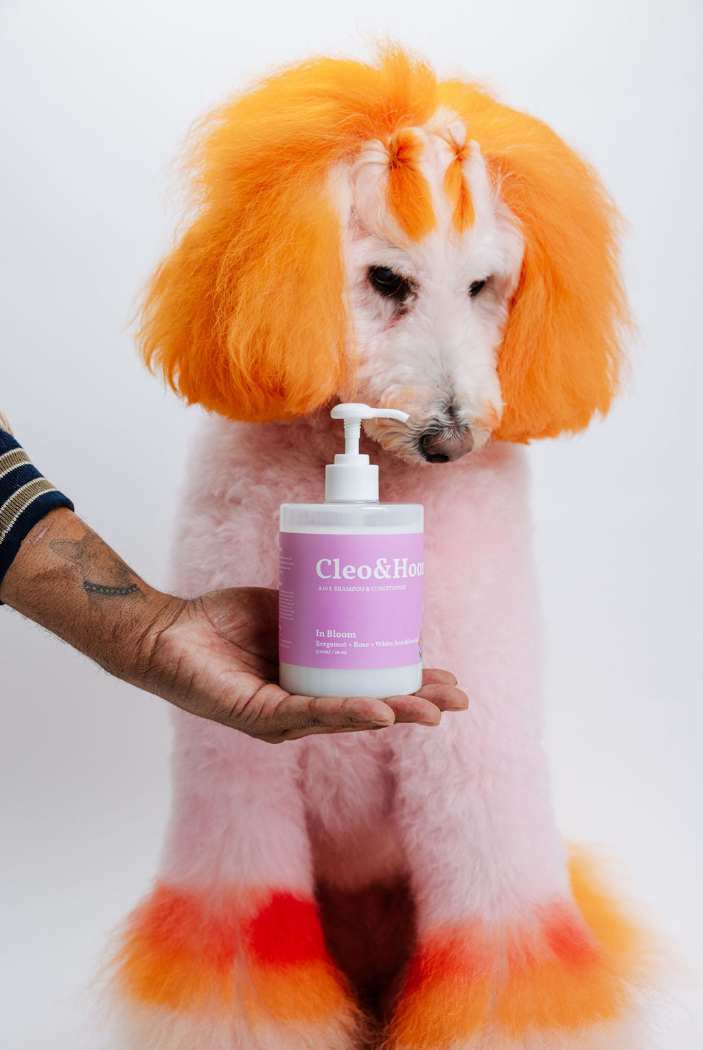 Cleo&Hooman In Bloom Dog Shampoo and Conditioner Duo
