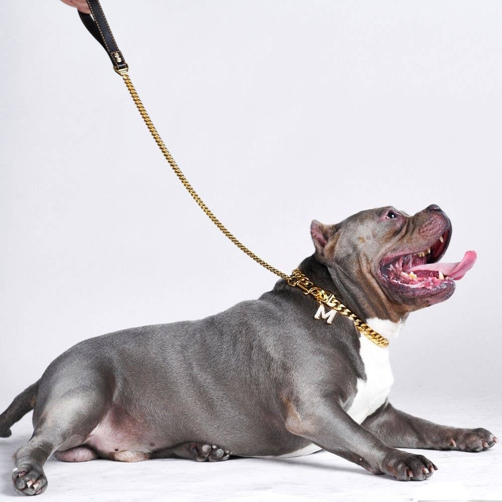 Cuban Link Gold Dog Leash, 35 Inch