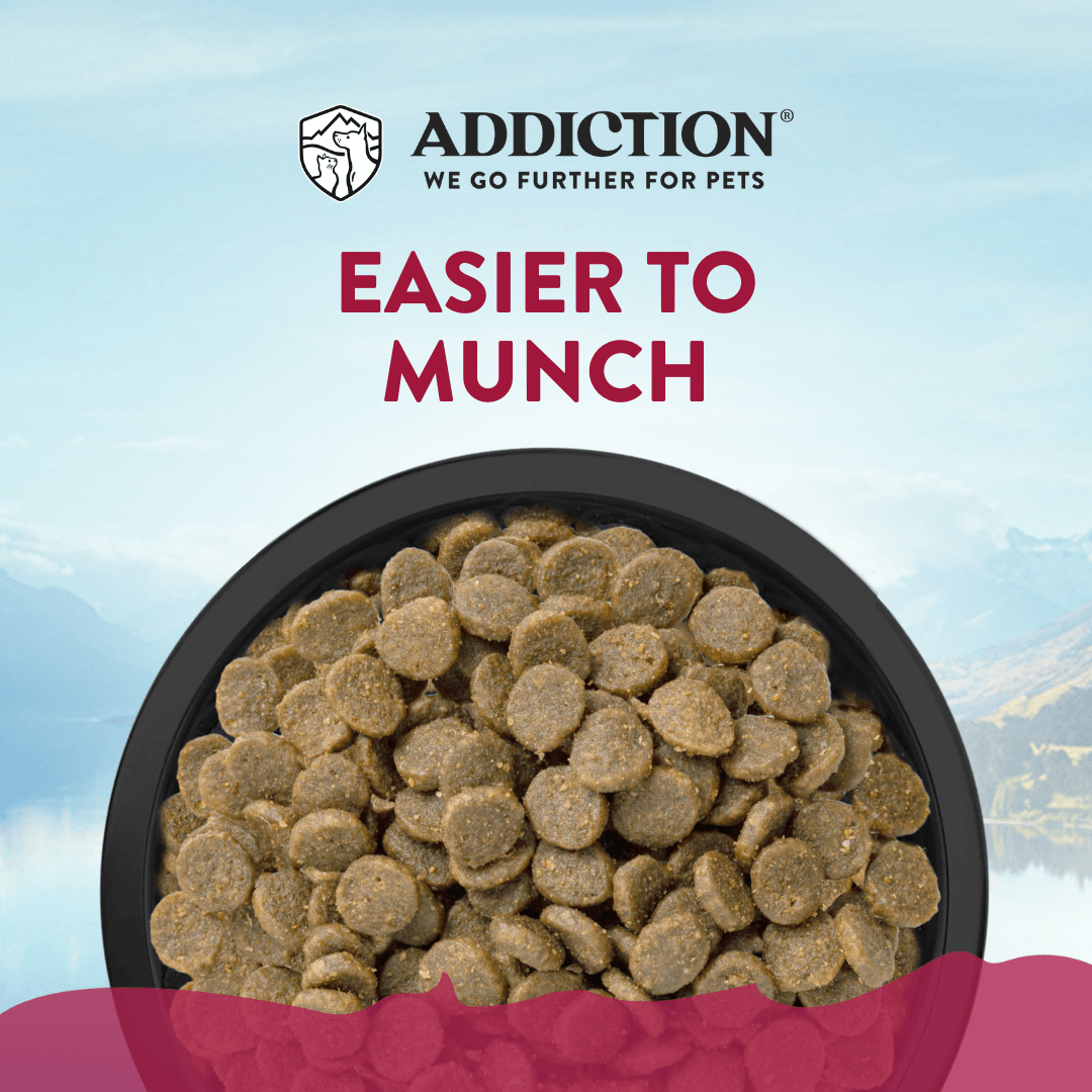 Viva La Venison Small Breed Dry Dog Food