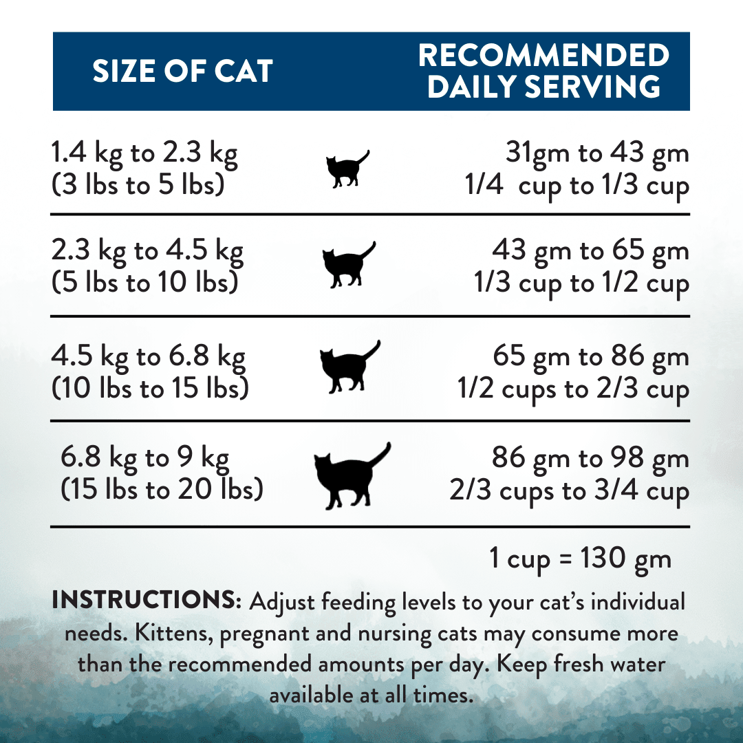Wild Islands Pacific Catch King Salmon Mackerel & Hoki Dry Cat Food