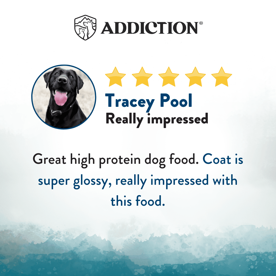 Wild Islands Pacific Catch Dry Dog Food