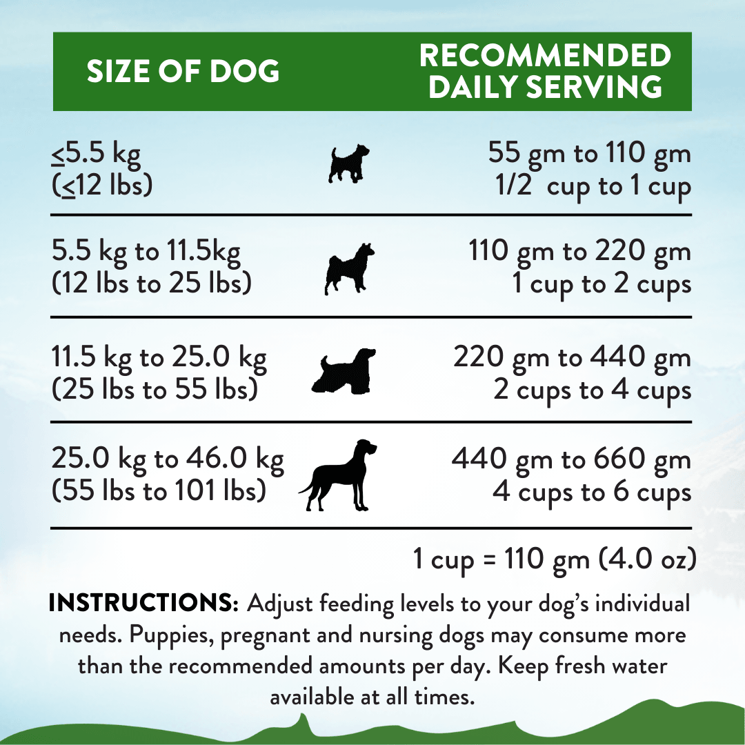 Zen Vegetarian Dog Food & Vegan Treats Bundle