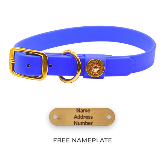 Barrows Dog Collar gun dog collar by Barrows Outdoor in blue with brass buckle and D-ring