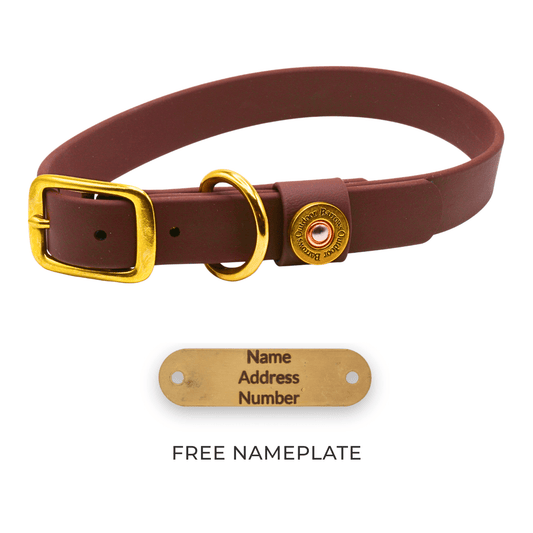 Barrows Dog Collar gun dog collar by Barrows Outdoor in brown with brass hardware