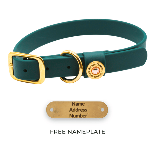 Barrows Dog Collar gun dog collar by Barrows Outdoor in green Biothane with a brass buckle