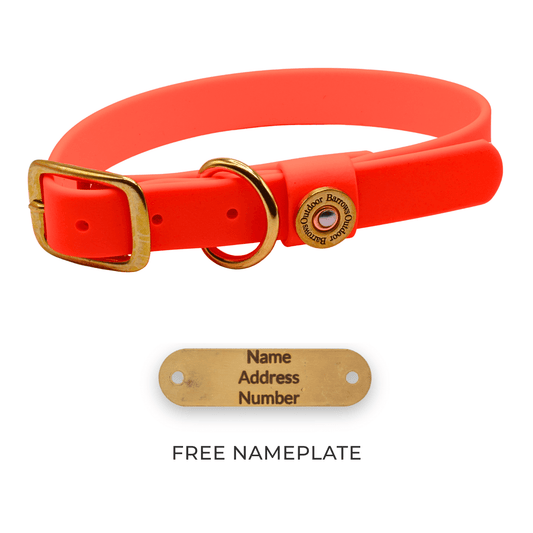 Barrows Dog Collar gun dog collar by Barrows Outdoor in orange Biothane with a brass buckle