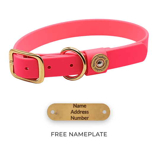 Barrows Dog Collar gun dog collar by Barrows Outdoor in pink with brass hardware