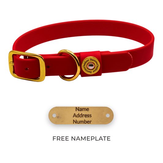 Barrows Dog Collar gun dog collar by Barrows Outdoor in red Biothane with brass buckle and D-ring