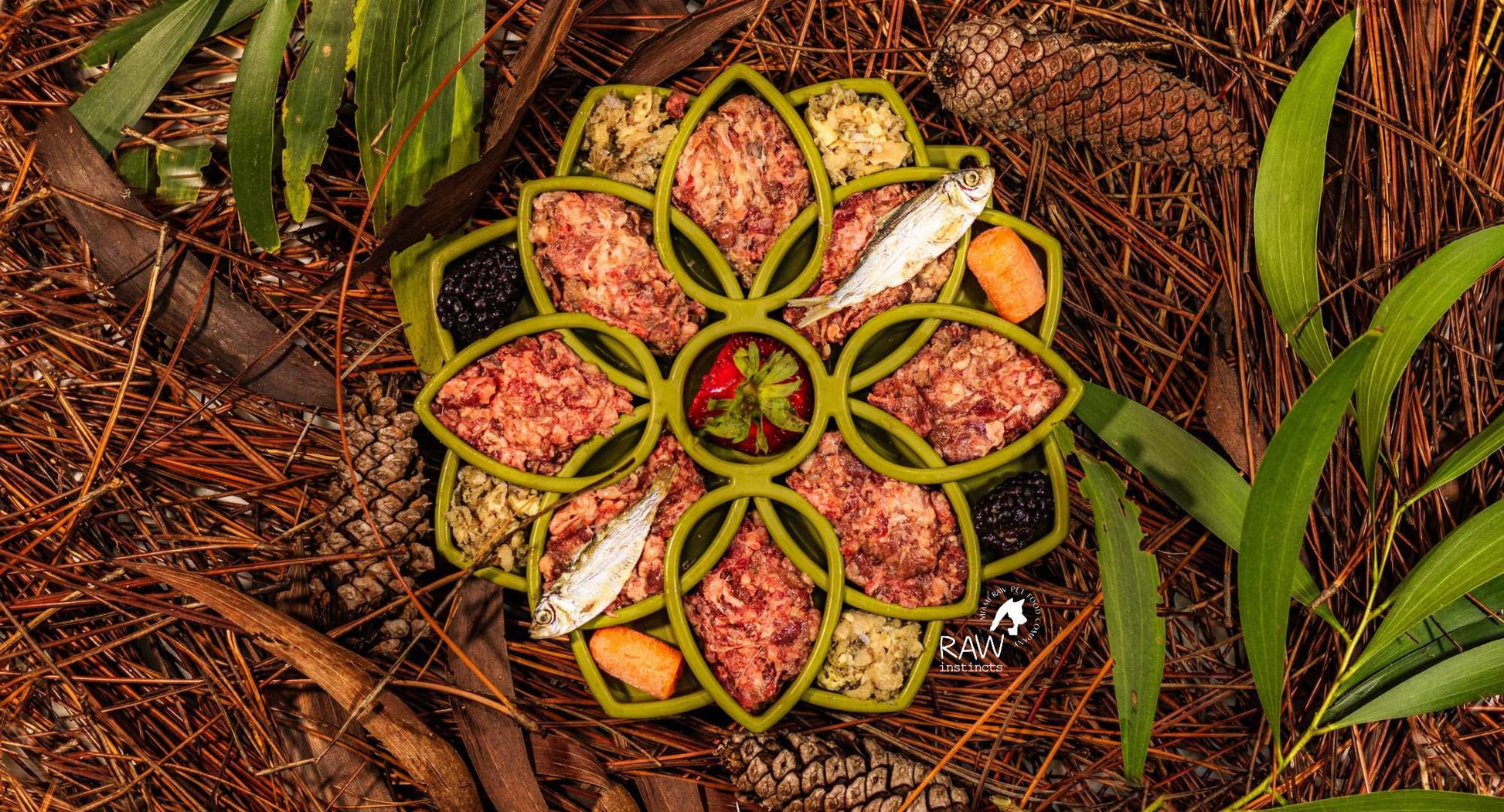 Raw Instincts beef and salmon blend in a green flower shaped lick mat with two whole fish, blackberries and carrot, on pine needles.