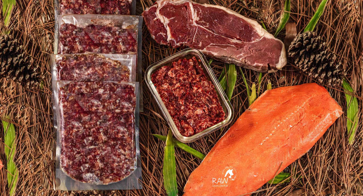 Raw Beef & Wild-Caught Salmon Meal Blend for Cats & Dogs, Prey Model Raw | Raw Instincts Florida