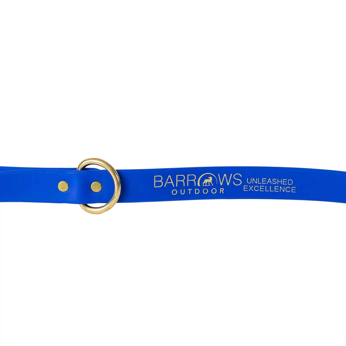Barrows Dog Leash - Blue