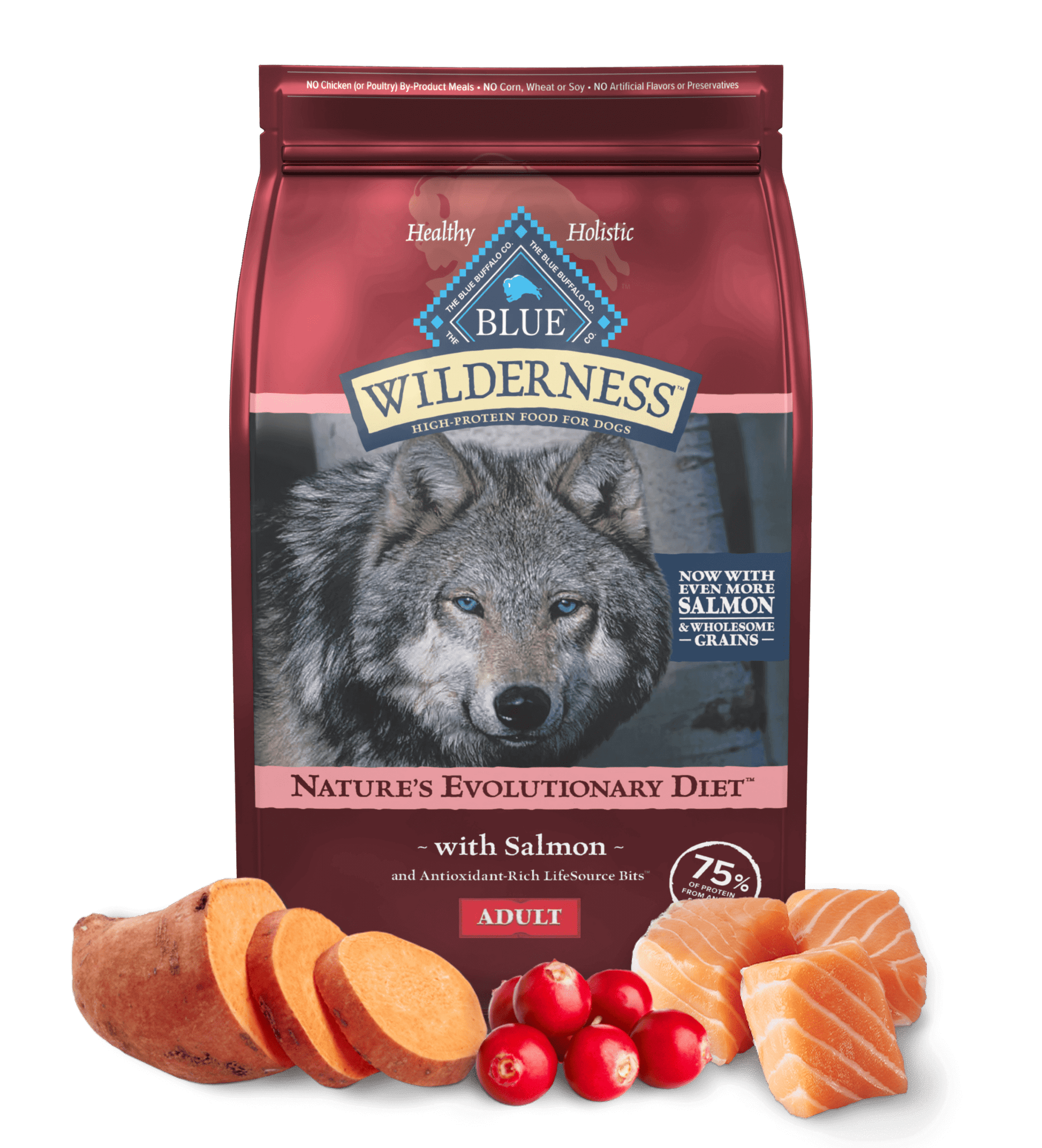 Bag of Blue Buffalo Wilderness Adult Salmon with Wholesome Grains Dry Dog Food