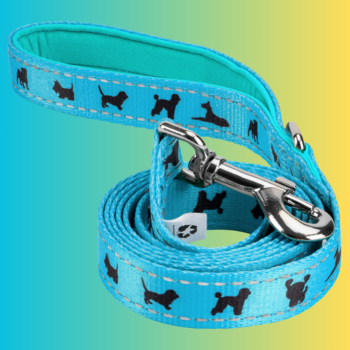 Sky Blue Comfort Grip Dog Leash, 4 to 6 ft