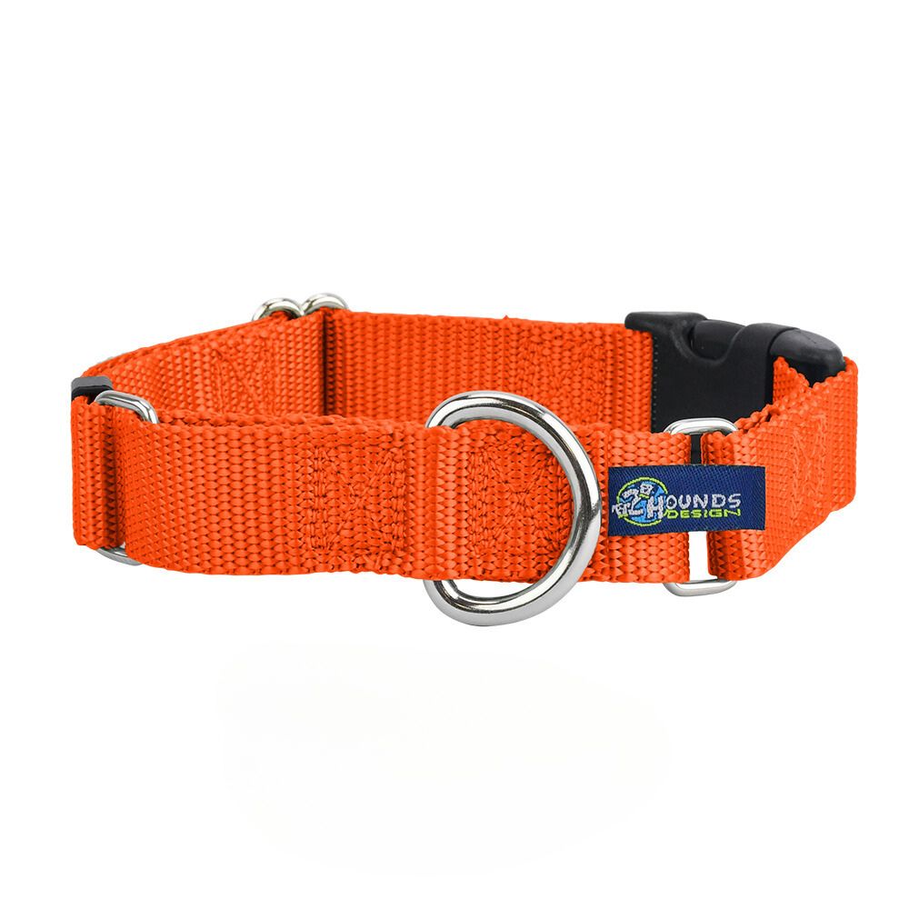 Rust Nylon Buckle Martingale Dog Collar 1″ by 2 Hounds Design, sold through Sniff and Shift