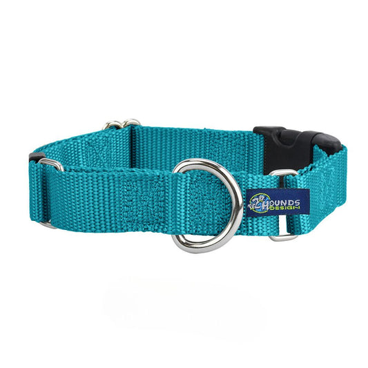 Teal Nylon Buckle Martingale Dog Collar 5/8″ and 1″ by 2 Hounds Design, sold through Sniff and Shift