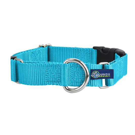 Turquoise Nylon Buckle Martingale Dog Collar 5/8″ and 1″ by 2 Hounds Design, sold through Sniff and Shift