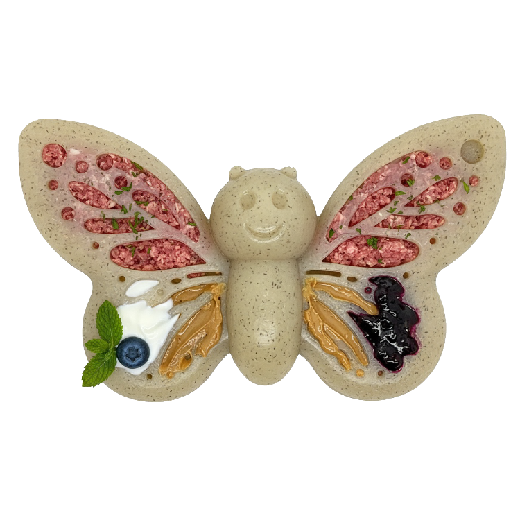 Butterfly Nylon Chew and Enrichment Toy in purple or brown, SodaPup, sold through Sniff and Shift