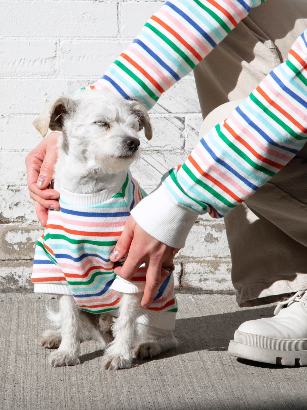 Dog and owner matching in the Happy Days Pullover rainbow stripe crewneck, Good Thomas, sold through Sniff and Shift