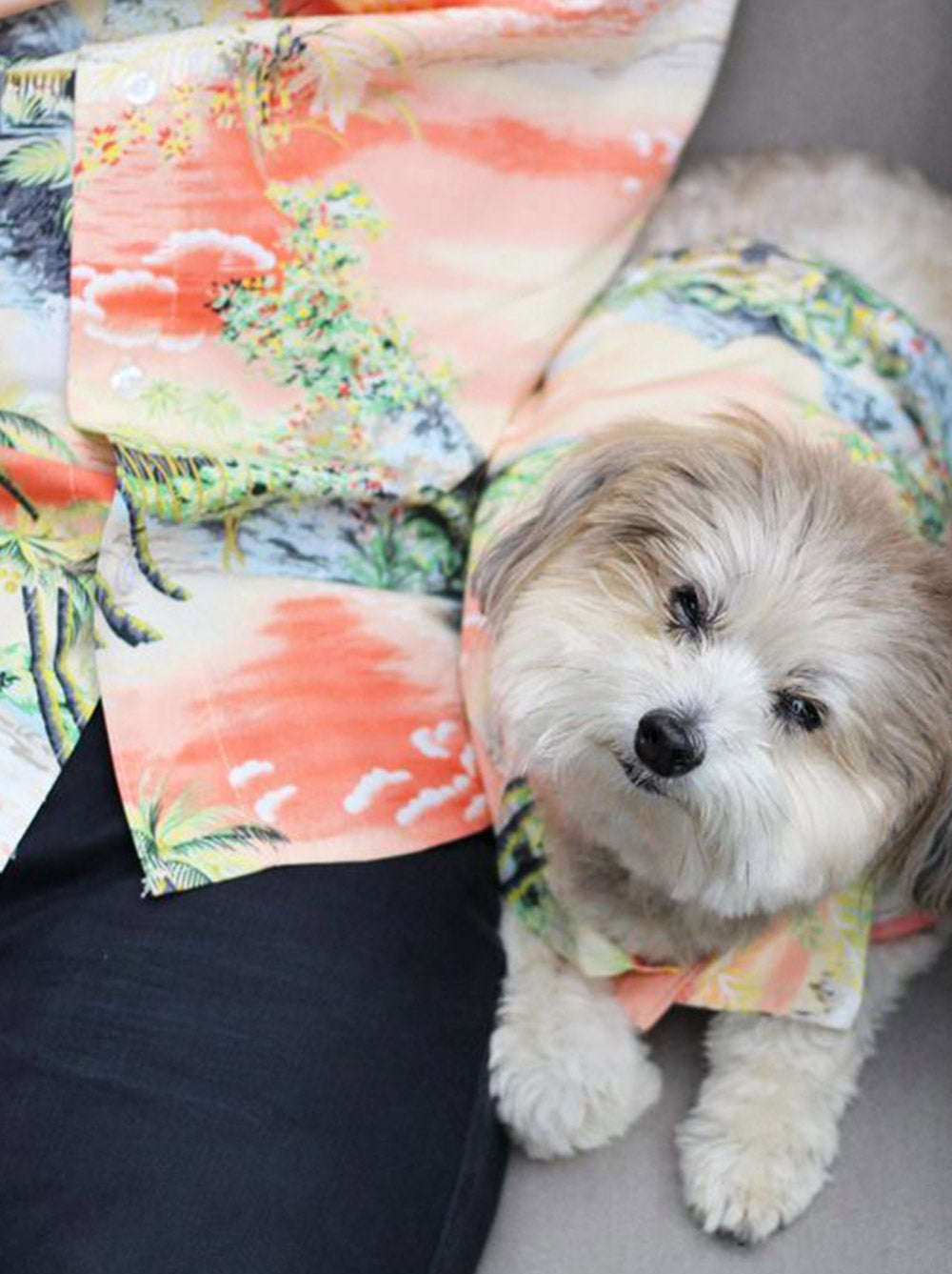 Dog and owner both in the Apres BBQ Shirt tropical print, Good Thomas, sold through Sniff and Shift