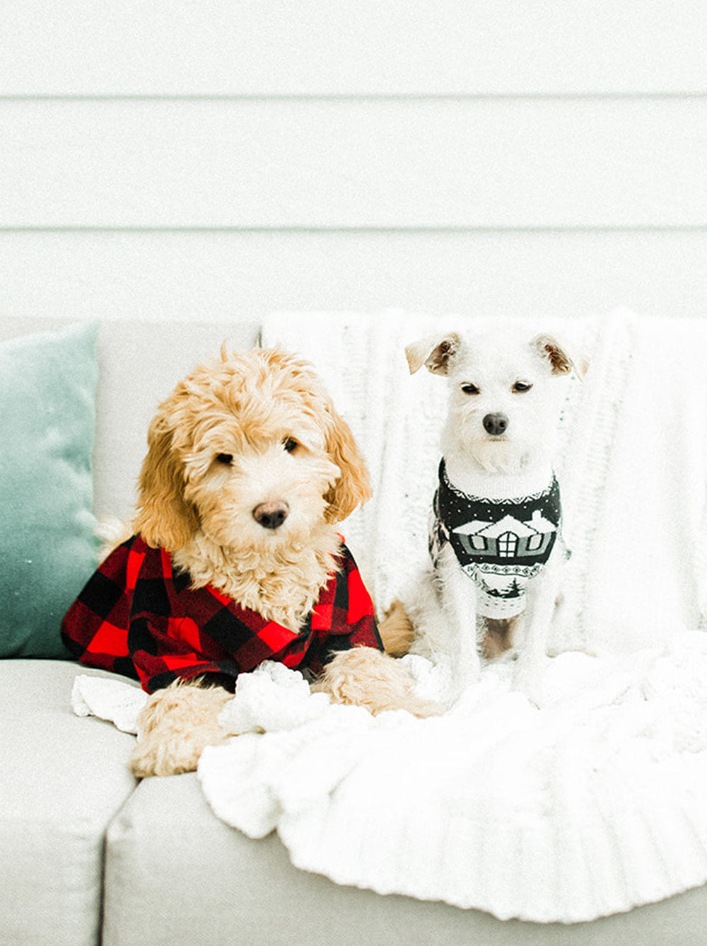Cabin Sweater, Dog and Kid Sizes