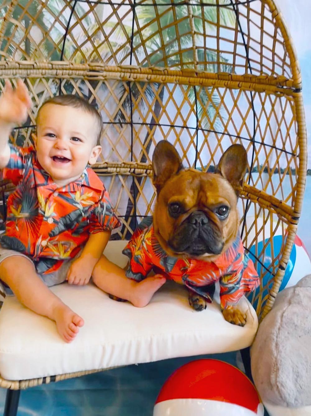 Jungle Bird BBQ Shirt, Dog and Human Sizes