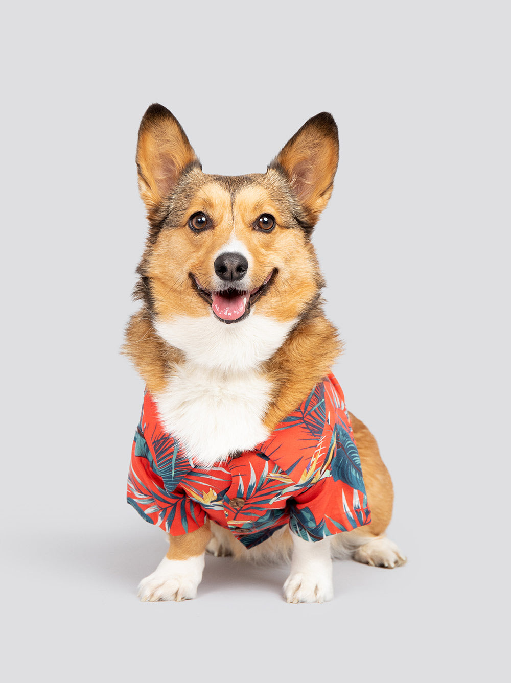 Jungle Bird BBQ Shirt, Dog and Human Sizes