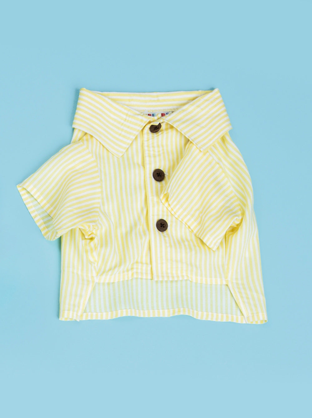 Nantucket Set, Dog and Adult Sizes
