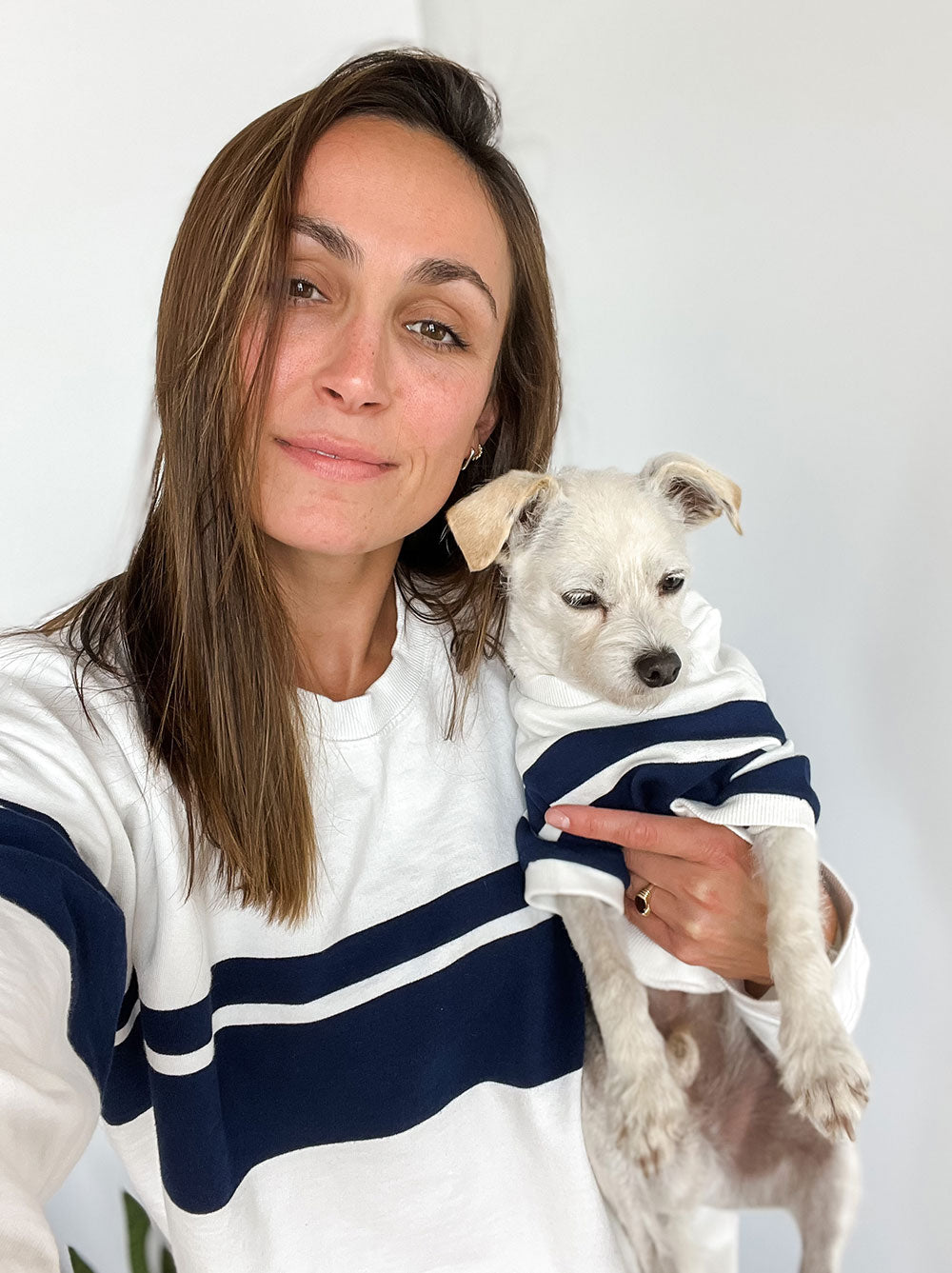 Newport Pullover, Dog Sizes