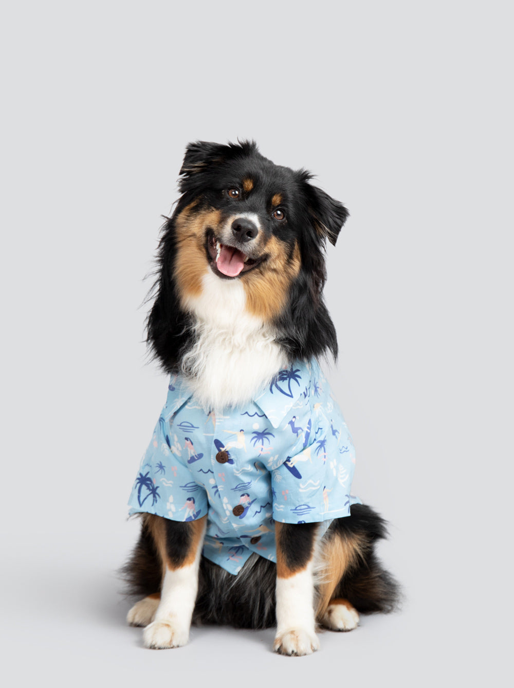 Surfs Up BBQ Shirt, Dog and Human Sizes