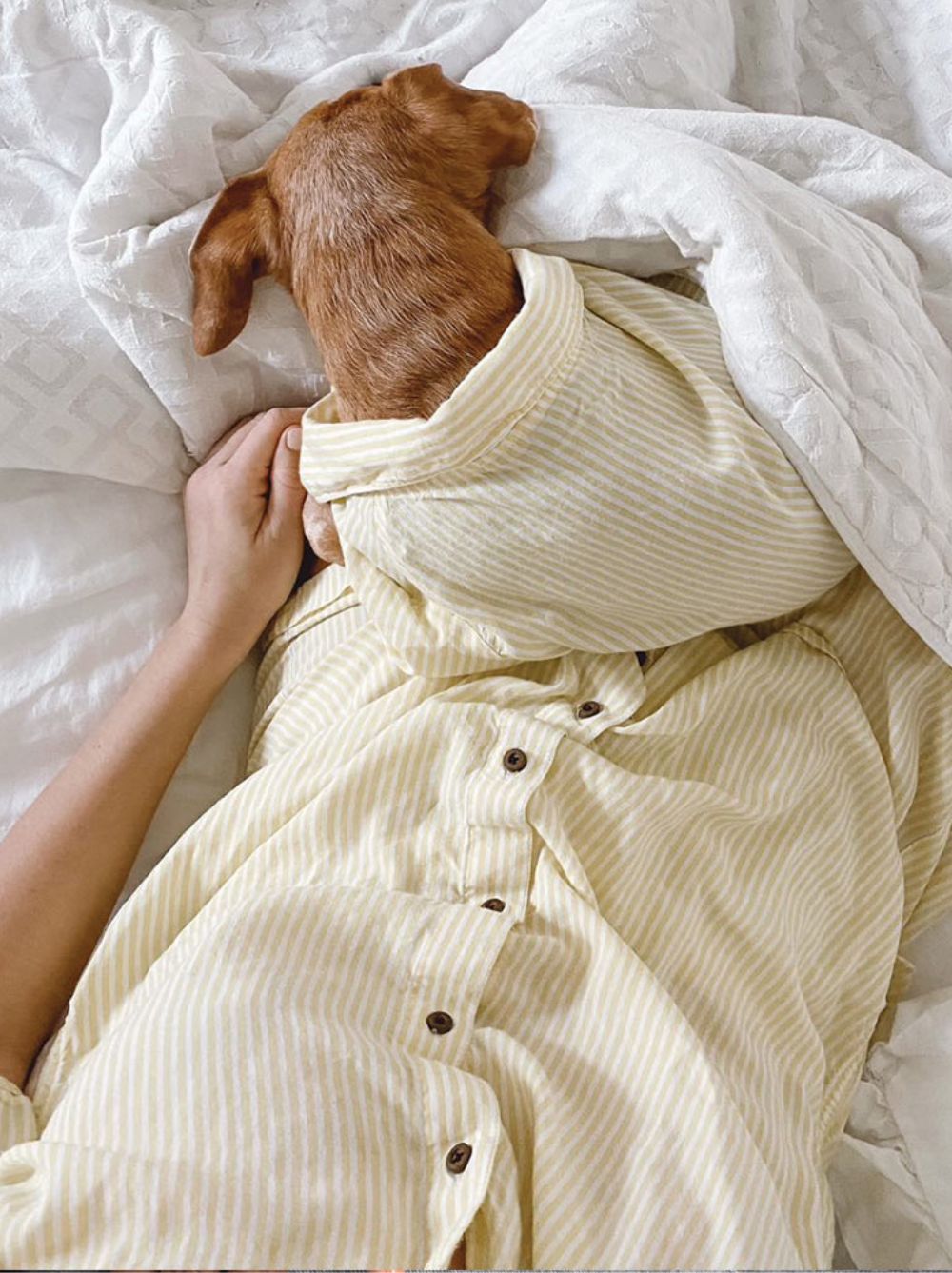 Dog and owner in matching Nantucket striped shirts, Good Thomas, sold through Sniff and Shift