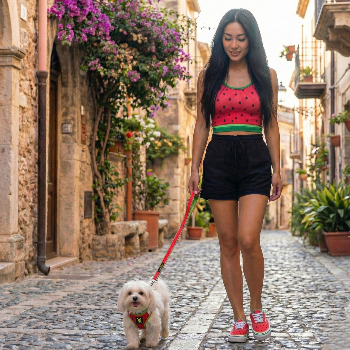 Watermelon Step-In Dog Harness, Reflective Mesh, Teacup to XL