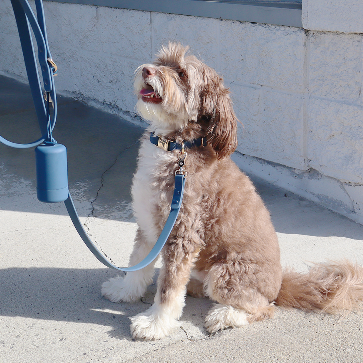 Waterproof Dog Leash, Navy