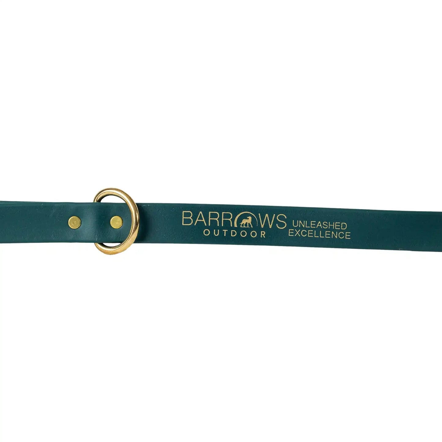 Barrows Dog Leash - Green