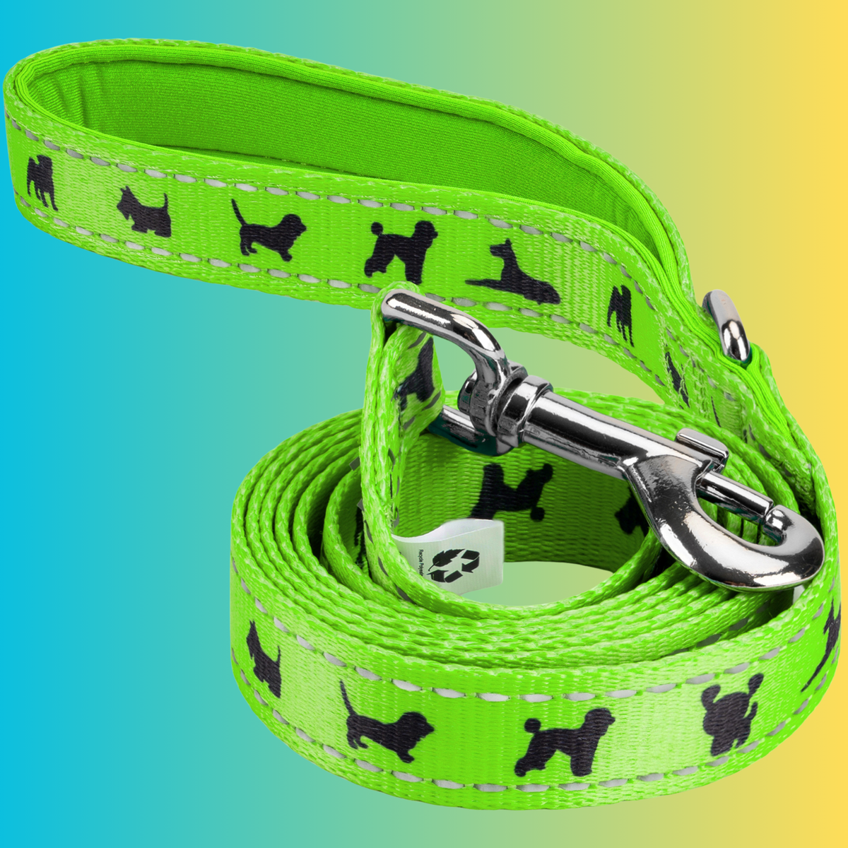 Green Comfort Grip Dog Leash, 4 to 6 ft