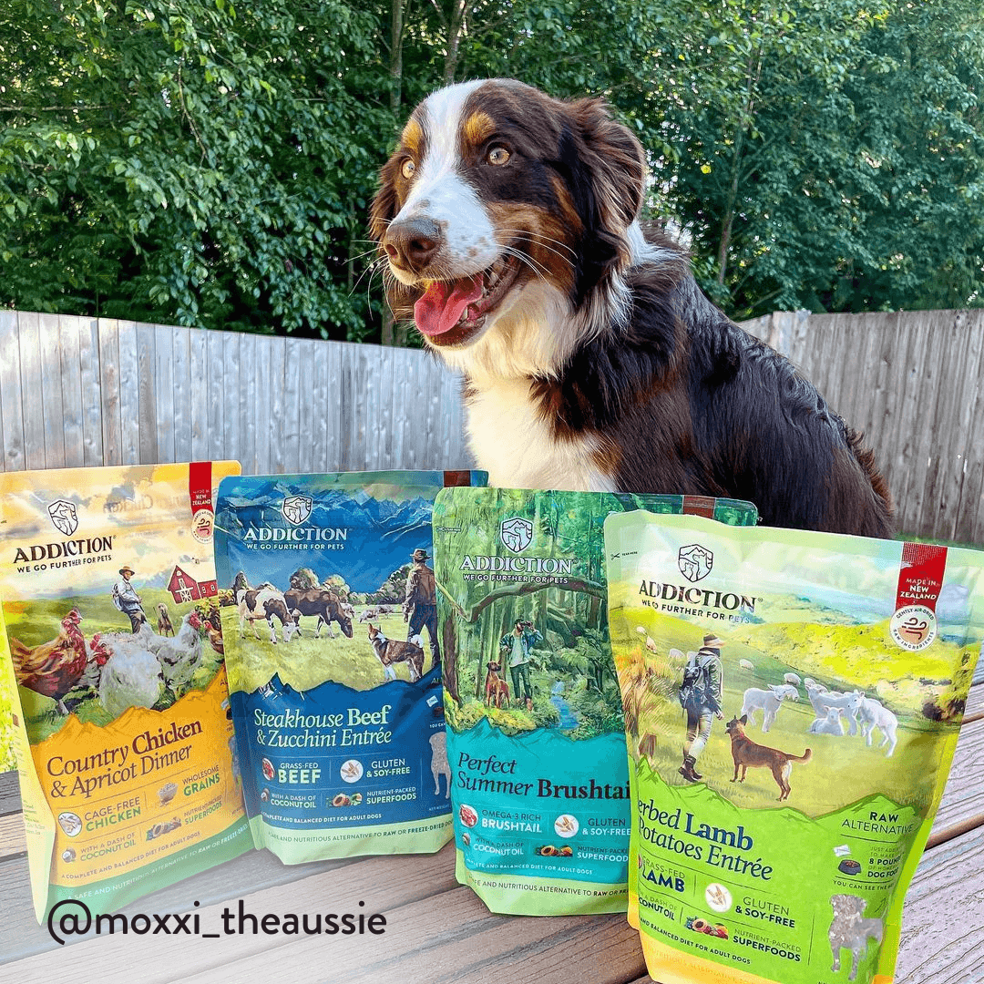 Herbed Lamb & Potatoes Air-Dried Dog Food