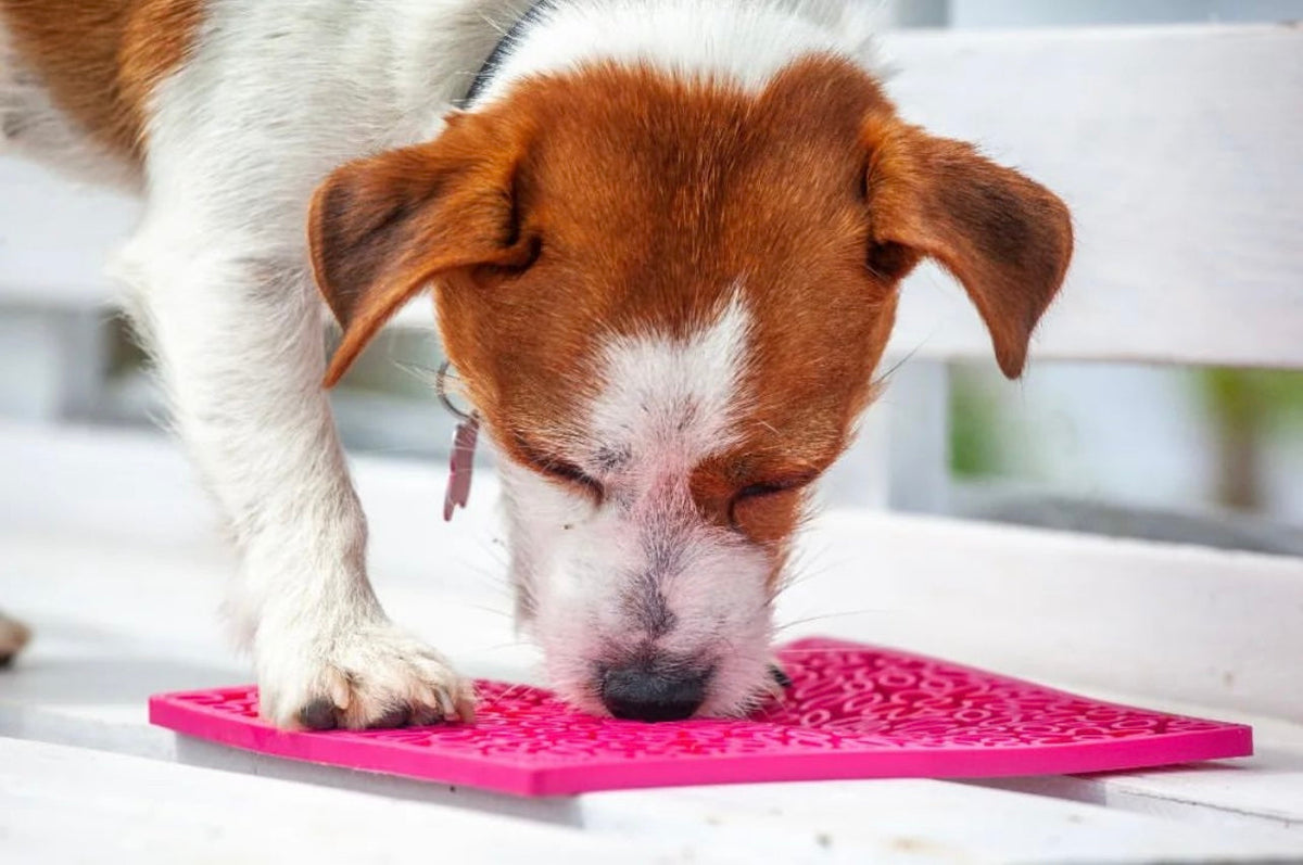 Flower Power eMat Lick Mat
