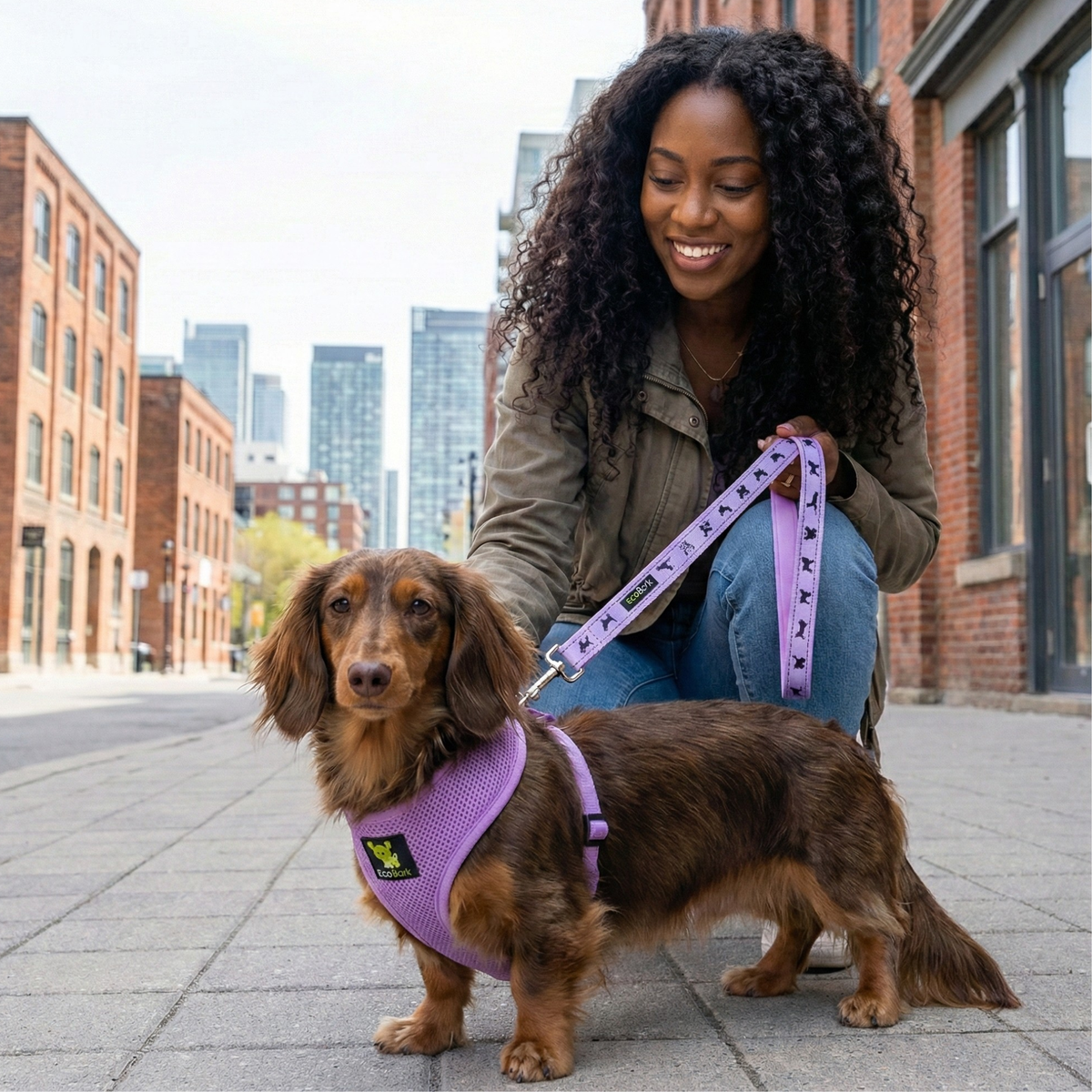 Over-the-Head Dog Harness, Vest Halter, Lavender