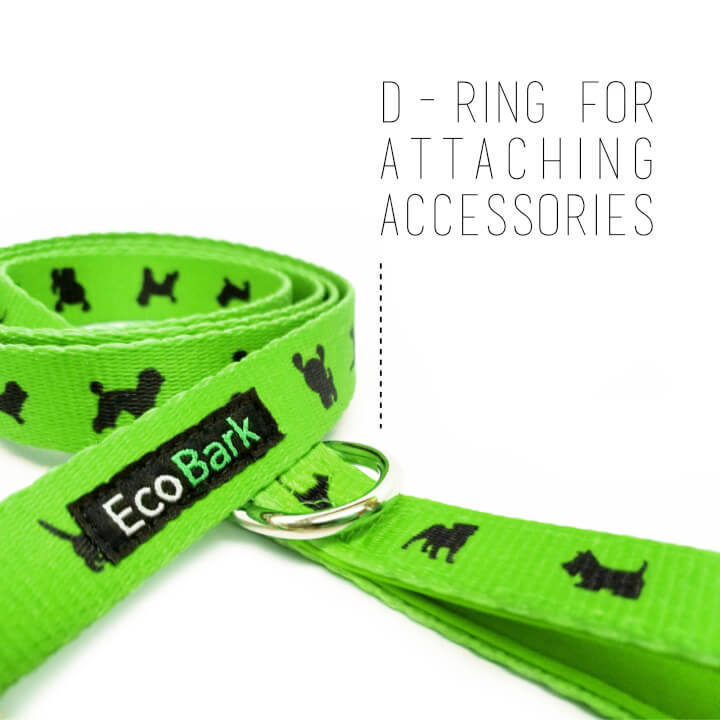 Green Comfort Grip Dog Leash, 4 to 6 ft
