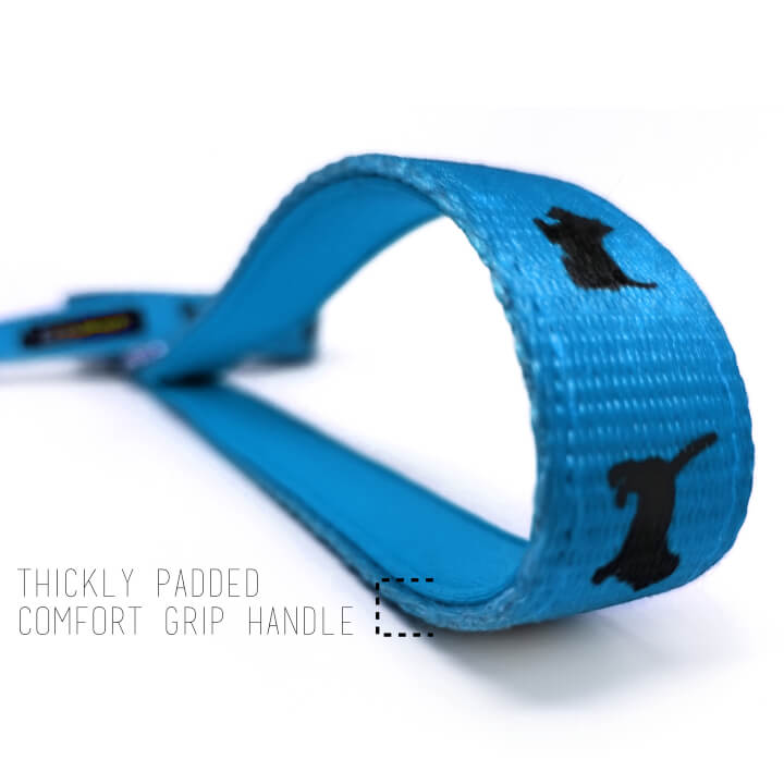 Sky Blue Comfort Grip Dog Leash, 4 to 6 ft