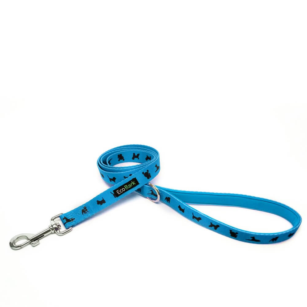 Sky Blue Comfort Grip Dog Leash, 4 to 6 ft