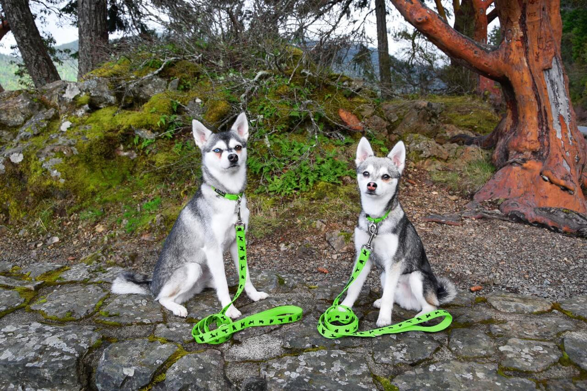 Green Comfort Grip Dog Leash, 4 to 6 ft