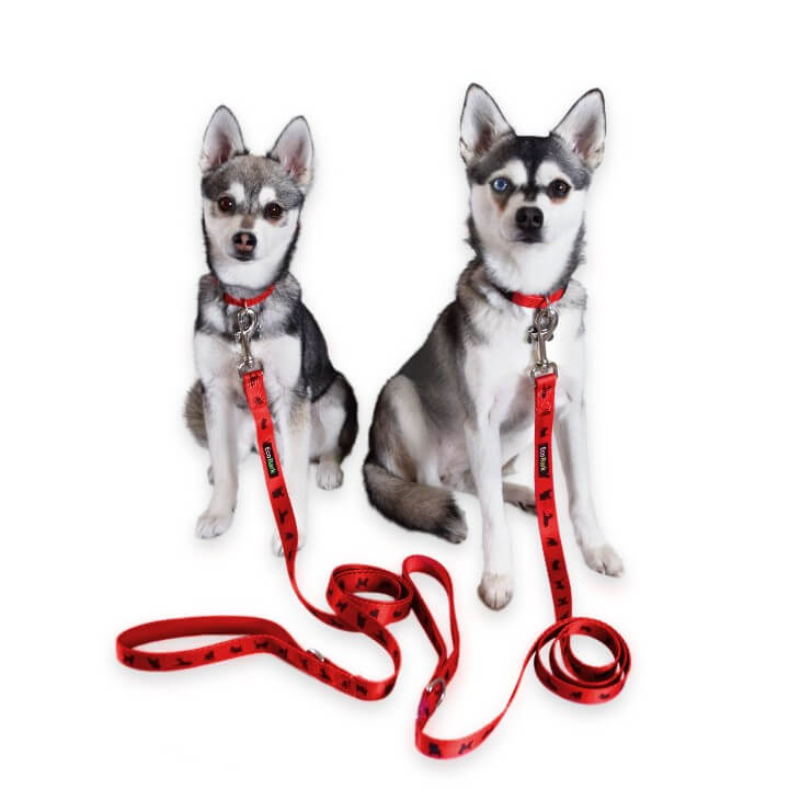 Cherry Red Comfort Grip Dog Leash, 4 to 6 ft