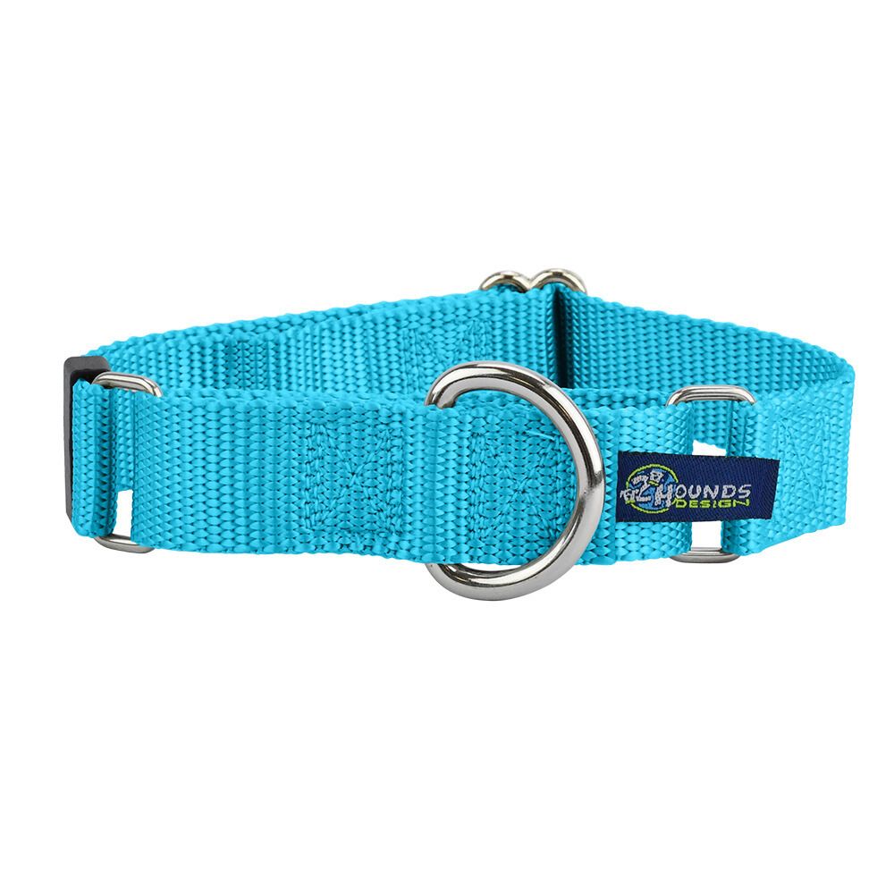 Turquoise Nylon Martingale Dog Collar 5/8″ and 1″ by 2 Hounds Design, sold through Sniff and Shift