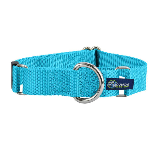 Turquoise Nylon Martingale Dog Collar 5/8″ and 1″ by 2 Hounds Design, sold through Sniff and Shift
